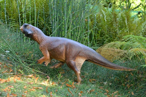 Psittacosaurus model in the Bristol Botanic Garden.