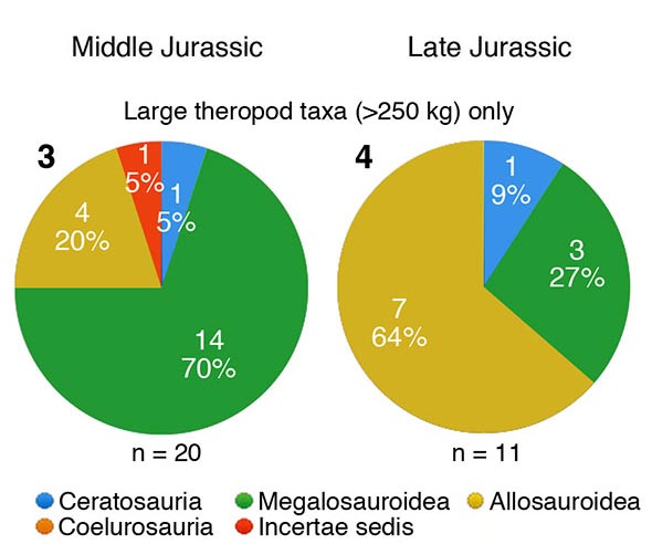 Theropod faunal turnover in the Jurassic.
