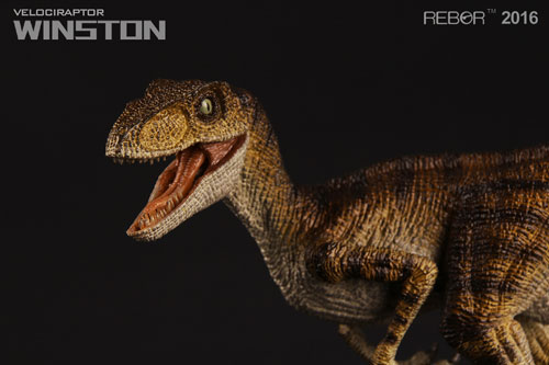 Rebor Velociraptor "Winston".