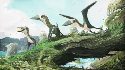 Late Cretaceous small-bodied Pterosaur from British Columbia.
