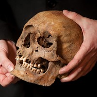 Ancient hominin skull.