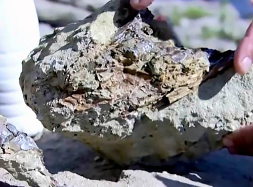 A piece of dinosaur fossil bone.