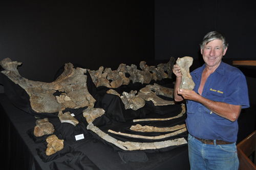 David Elliott poses with the bones of Savannasaurus.