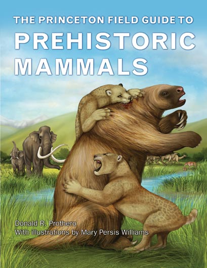 Documenting prehistoric mammals.