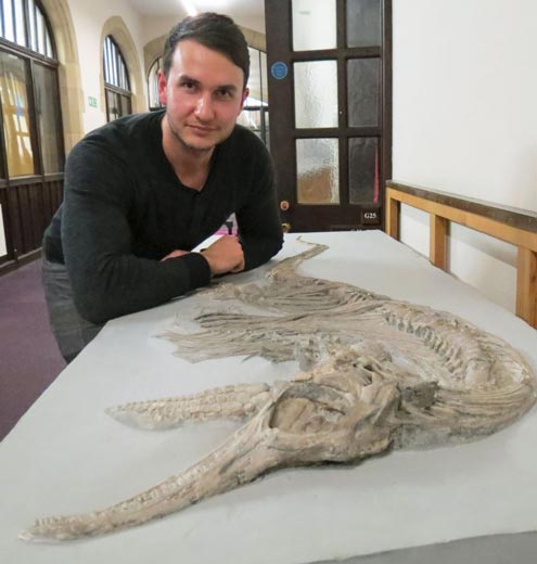 Dean Lomax (palaeontologist) studies Ichthyosaur fossils.