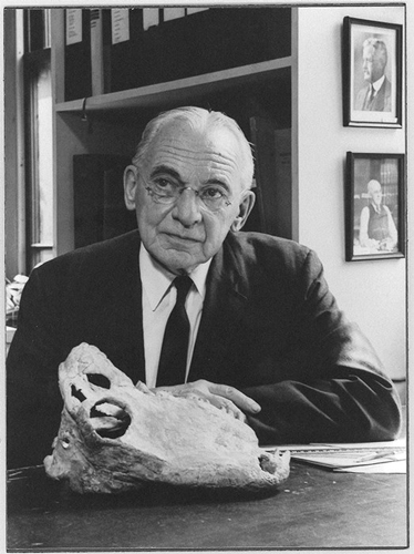 Alfred Romer (courtesy of Harvard University archives)