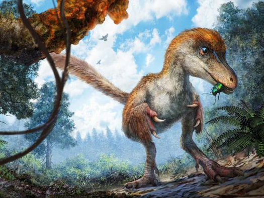 Feathered dinosaur illustration.