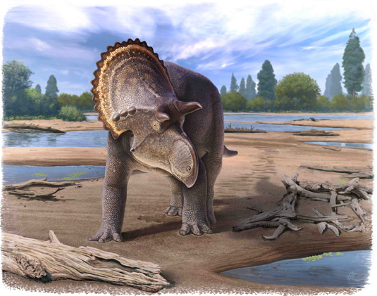 Nasutoceratopsini clade erected.