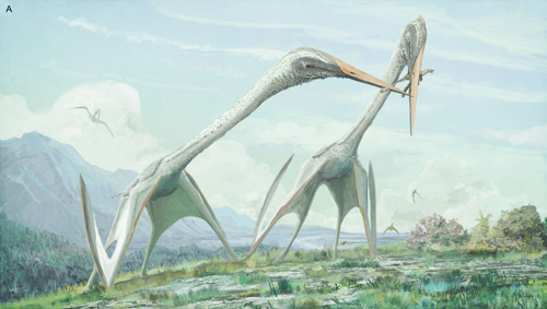 Azhdarchid pterosaurs feeding on dinosaurs.