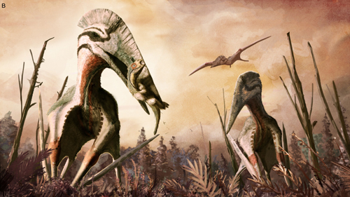 Powerful necked Hatzegopteryx feeds on a dinosaur.