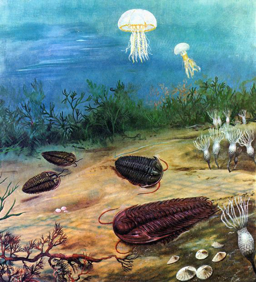 Cambrian life.