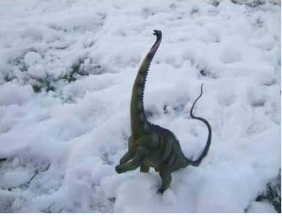 Dinosaur extinction caused by global cooling.