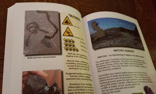 Site summary in fossil guide book.