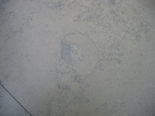 The stone floors at Nuremberg airport are full of fossils.