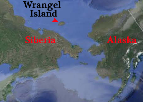 Wrangel Island.