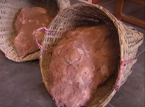 Dinosaur eggs from Guangdong Province.