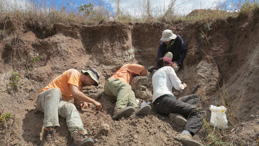 Excavating the fossils of Teleocrater and other Triassic animals.