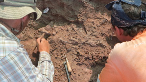 Excavating the fossils of Teleocrater and other Triassic animals.