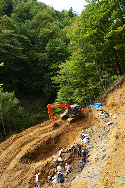Digging up the dinosaur bones (Hokkaido, Japan).