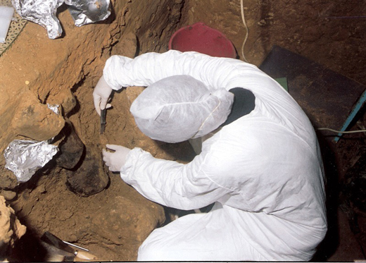 Searching for evidence of ancient hominin DNA.