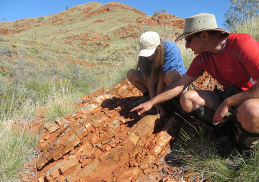 Looking for signs of ancient life in the Pilbara Craton.