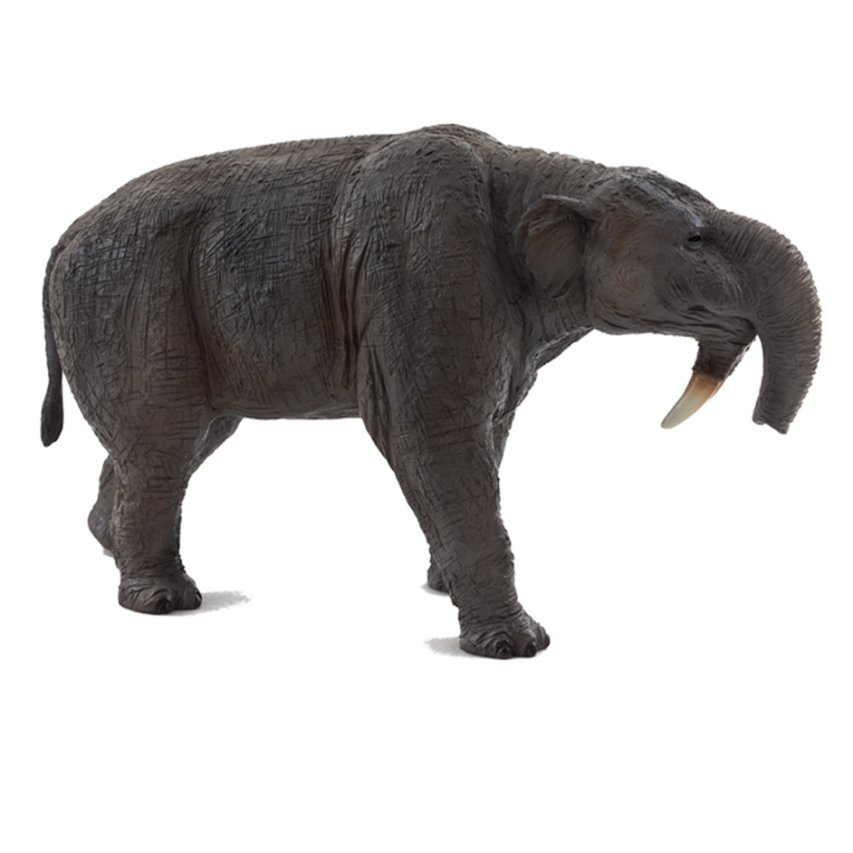 The Deinotherium model by Mojo.