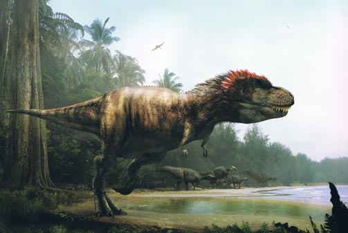 A feathered T. rex - but a slow mover.