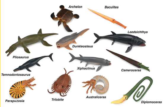 The CollectA mini prehistoric marine animals.