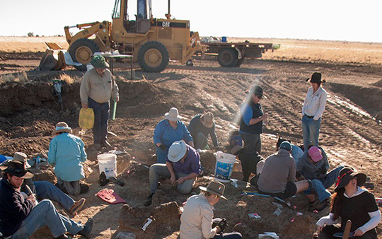 Excavating an Australian Titanosaur.