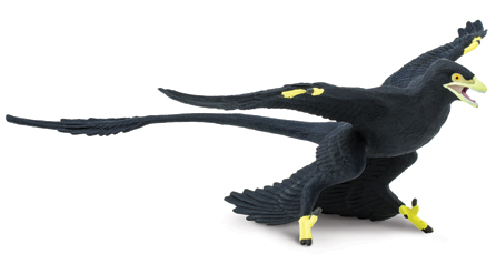 Microraptor dinosaur model.