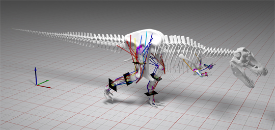 New study suggests T. rex could not run.