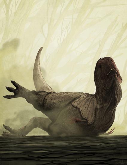 The Theropod Aucasaurus slips and falls.