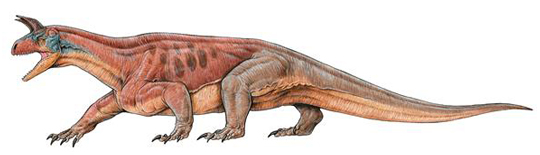 The Triassic stem Archosaur Shringasaurus indicus.