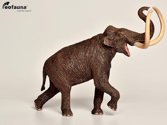 The Eofauna Scientific research 1:40 scale Steppe Mammoth model.