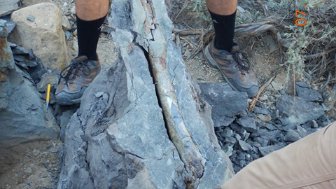 Dinosaur bone found on mountain bike trail.