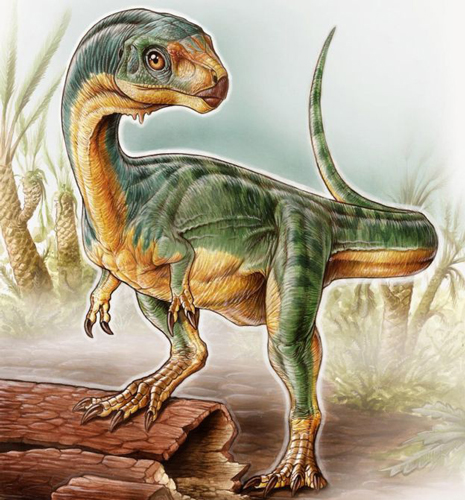 The bizarre Chilesaurus.