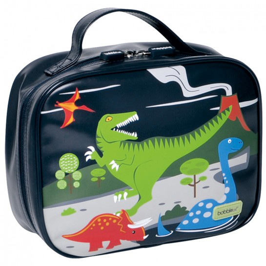 A dinosaur themed lunch box.