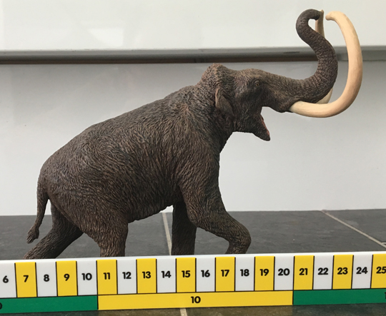 The size of the Eofauna Steppe Mammoth model.
