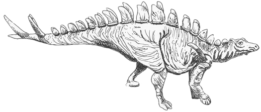 A drawing of Tuojiangosaurus.