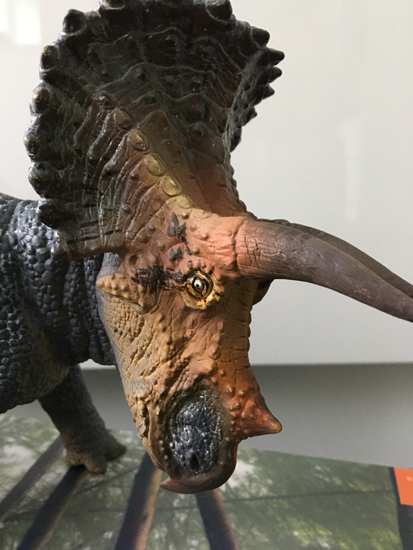 A close view of the head of the PNSO Age of Dinosaurs Triceratops model.