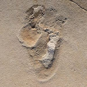 Fossilised hominin footprint from Crete