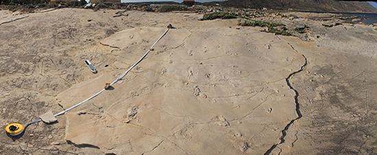 Hominin fossil footprints from Crete.