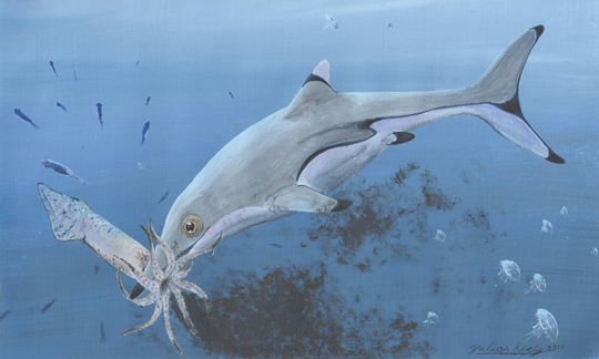 A neonate Ichthyosaurus communis feeding on a squid.