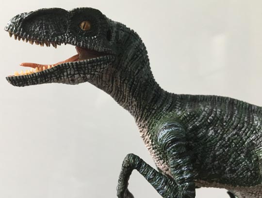 The Rebor 1:18 scale Velociraptor replica "Pete".