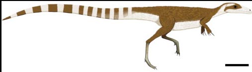 Sinosauropteryx countershading.