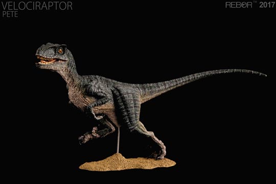 Rebor "Pete" Velociraptor Model