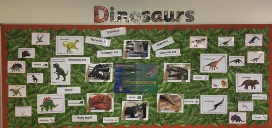 A dinosaur themed display board.