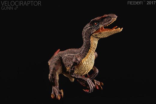 Rebor Velociraptor "Gunn".