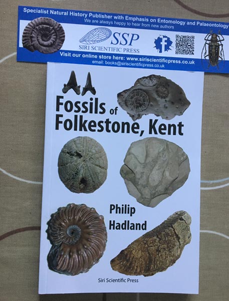 Fossil collecting guide to the Folkestone area.