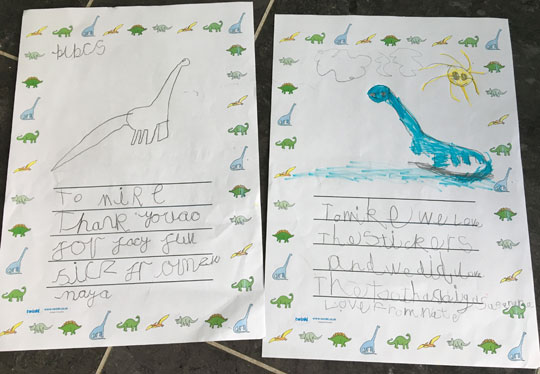 Long-necked dinosaur drawings from a Reception class.
